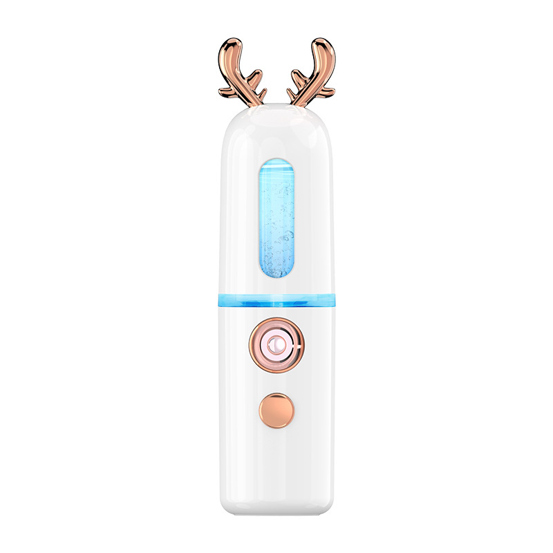 New Beauty Facial Steamer USB Charging Portable Nano Mist Sprayer Cute Atomizer Moisturizing Machine