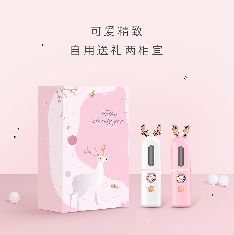 New Beauty Facial Steamer USB Charging Portable Nano Mist Sprayer Cute Atomizer Moisturizing Machine
