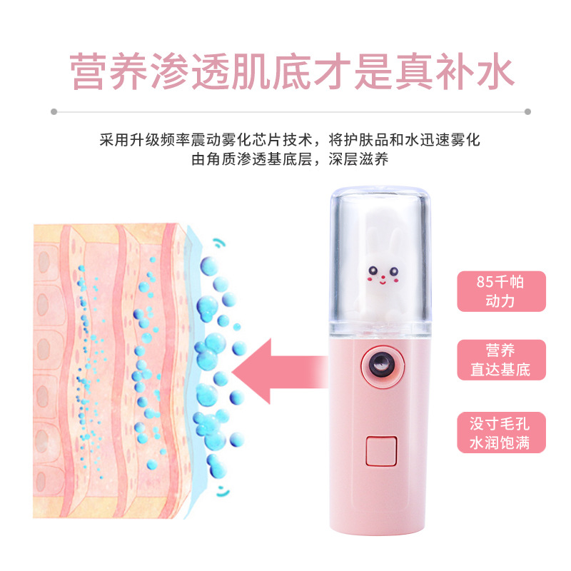 Water Replenishing Instrument USB Rechargeable Face Humidifier Sprayer Handheld Cartoon Facial Beauty Apparatus Face Steaming Sprayer