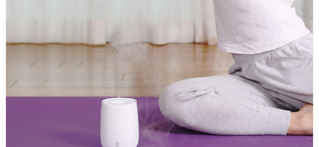 Mijiayue Life Aroma Diffuser Ultrasonic Home Sleep Aid Plug-in Mute Small HL Humidifier USB Sprayer