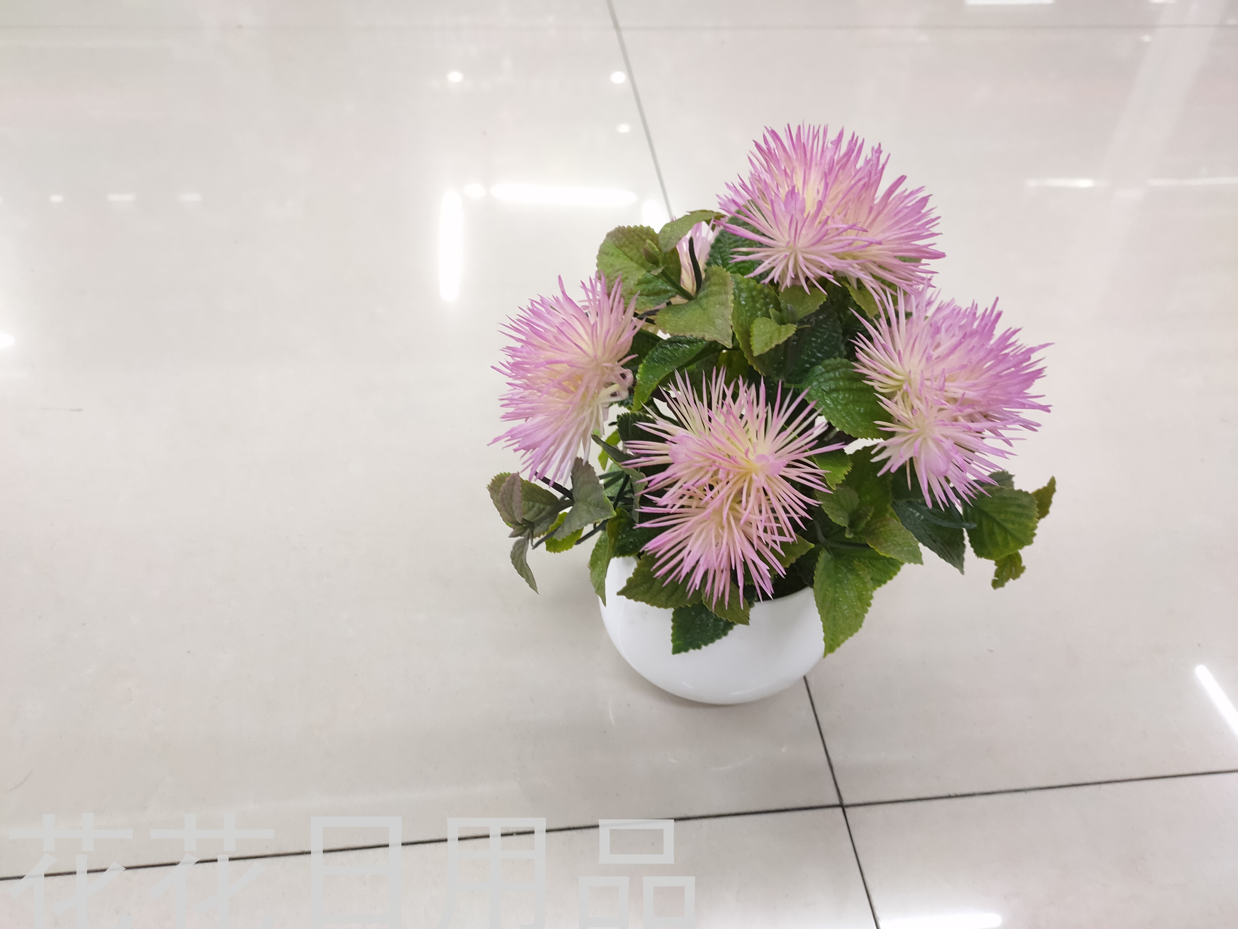 New Style White Basin Dandelion Artificial Flower Bonsai Crafts Decoration Plastic Fake Flower