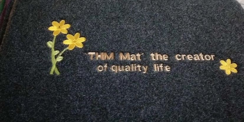 Door Mat Door Mat Household Floor Mat Floor Mat Living Room Non-Slip Mat 50X80
