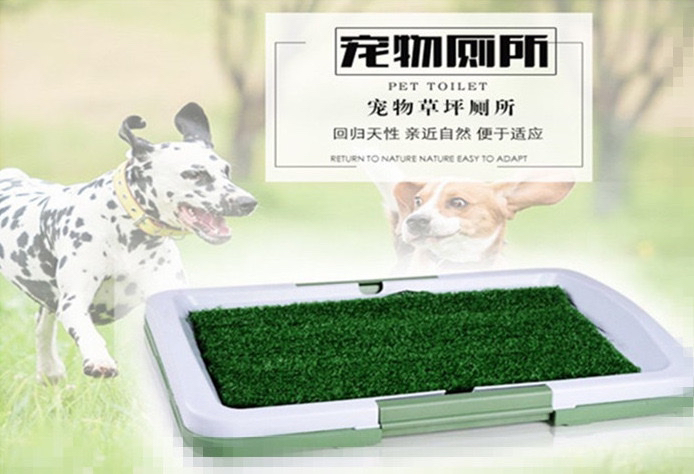 Potty Trainer Pet Toilet Three-Layer Lawn Toilet Indoor Pet Cushion Toilet Factory Direct Sales Potty Trainer Pet Toilet Three-Layer Lawn Toilet Indoor Pet Cushion Toilet Factory Direct Sales