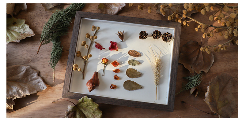 Creative Handmade Photo Frame DIY Dried Flower Nordic Specimen Photo Frame 6-Inch 10-Inch Horizontal and Vertical Solid Wood Stereo Photo Frame